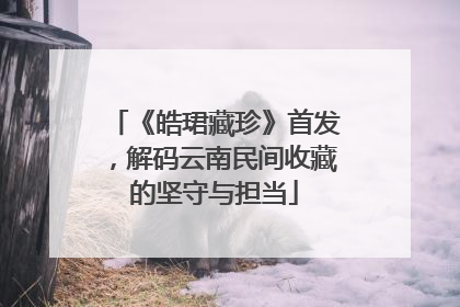 《皓珺藏珍》首发，解码云南民间收藏的坚守与担当