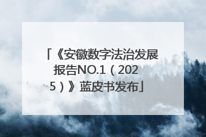 《安徽数字法治发展报告NO.1（2025）》蓝皮书发布