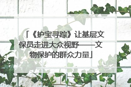 《护宝寻踪》让基层文保员走进大众视野——文物保护的群众力量