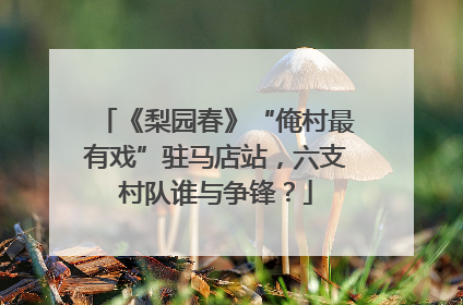 《梨园春》“俺村最有戏”驻马店站，六支村队谁与争锋？