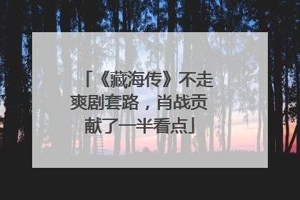 《藏海传》不走爽剧套路，肖战贡献了一半看点