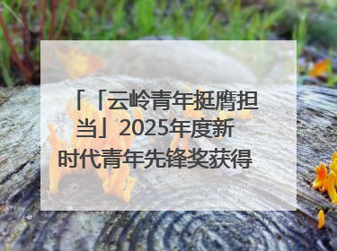 「云岭青年挺膺担当」2025年度新时代青年先锋奖获得者王敏奇——澜沧江上好渔人
