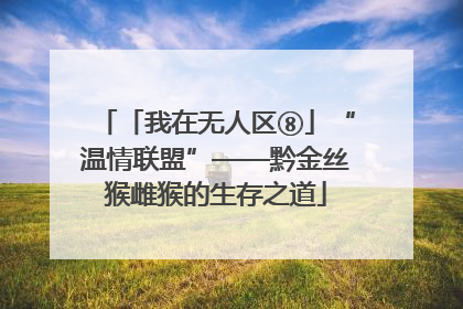 「我在无人区⑧」“温情联盟”——黔金丝猴雌猴的生存之道
