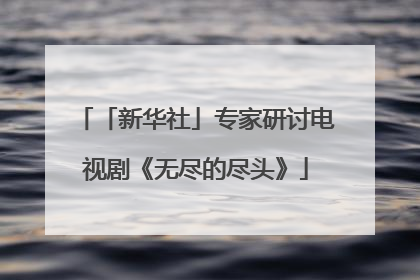 「新华社」专家研讨电视剧《无尽的尽头》