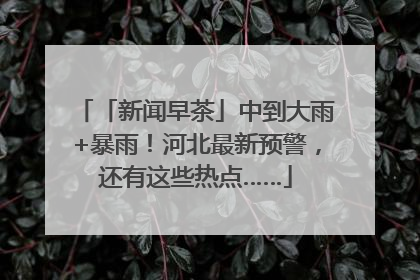 「新闻早茶」中到大雨+暴雨！河北最新预警，还有这些热点……