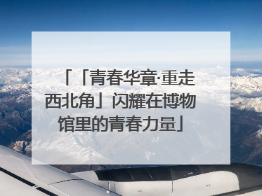「青春华章·重走西北角」闪耀在博物馆里的青春力量