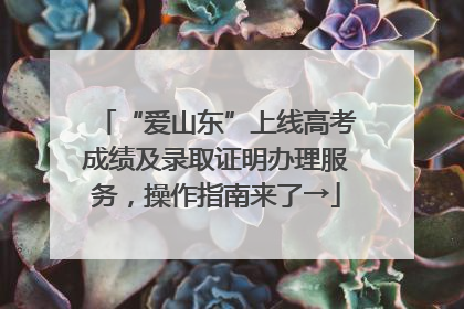“爱山东”上线高考成绩及录取证明办理服务，操作指南来了→