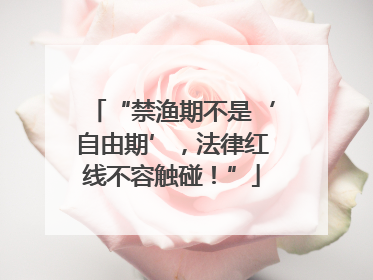 “禁渔期不是‘自由期’，法律红线不容触碰！”