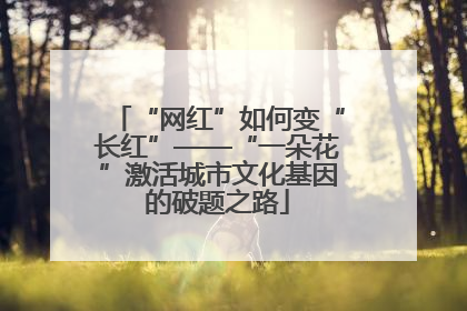 “网红”如何变“长红”——“一朵花”激活城市文化基因的破题之路