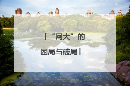 “网大”的困局与破局