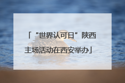 “世界认可日”陕西主场活动在西安举办