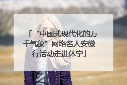 “中国式现代化的万千气象”网络名人安徽行活动走进休宁