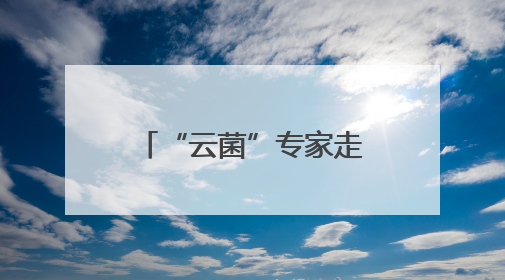 “云菌”专家走进“彩云英才荟”解读“一朵蘑菇”的产业未来