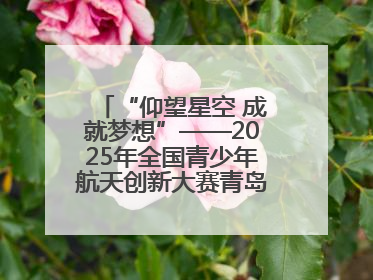 “仰望星空 成就梦想”——2025年全国青少年航天创新大赛青岛选拔赛成功举办