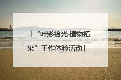 “叶影拾光·植物拓染”手作体验活动