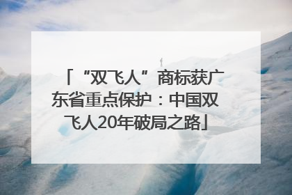 “双飞人”商标获广东省重点保护：中国双飞人20年破局之路