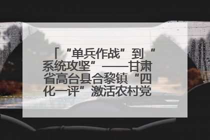 “单兵作战”到“系统攻坚”——甘肃省高台县合黎镇“四化一评”激活农村党员管理新引擎