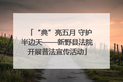 “典”亮五月 守护半边天——新野县法院开展普法宣传活动