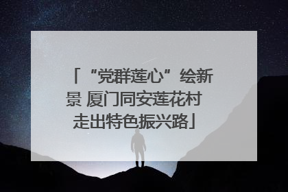 “党群莲心”绘新景 厦门同安莲花村走出特色振兴路