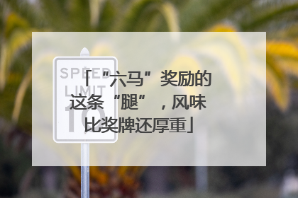 “六马”奖励的这条“腿”，风味比奖牌还厚重