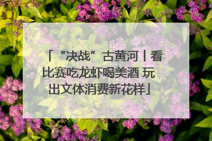 “决战”古黄河丨看比赛吃龙虾喝美酒 玩出文体消费新花样