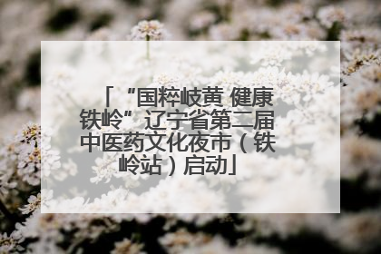 “国粹岐黄 健康铁岭”辽宁省第二届中医药文化夜市（铁岭站）启动