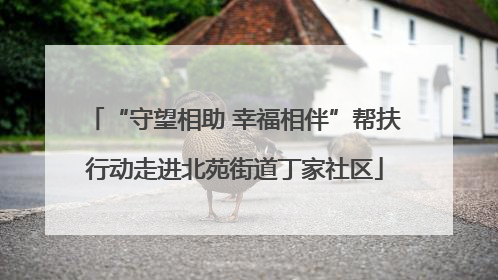 “守望相助 幸福相伴”帮扶行动走进北苑街道丁家社区