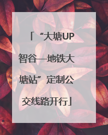 “大塘UP智谷—地铁大塘站”定制公交线路开行