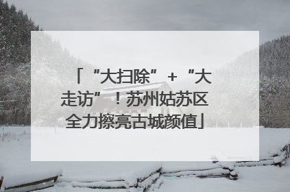 “大扫除”+“大走访”！苏州姑苏区全力擦亮古城颜值