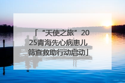 “天使之旅”2025青海先心病患儿筛查救助行动启动