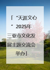“天涯文心”2025年三亚市文化发展主题交流会举办