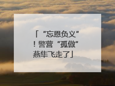 “忘恩负义”！警营“孤傲”燕隼飞走了