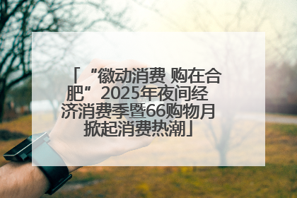 “徽动消费 购在合肥”2025年夜间经济消费季暨66购物月掀起消费热潮
