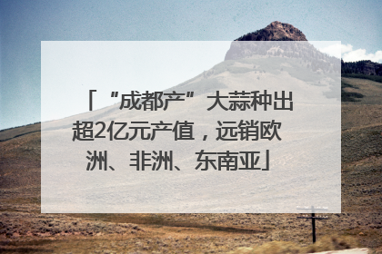 “成都产”大蒜种出超2亿元产值，远销欧洲、非洲、东南亚