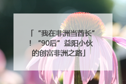 “我在非洲当酋长”！“90后”益阳小伙的创富非洲之路