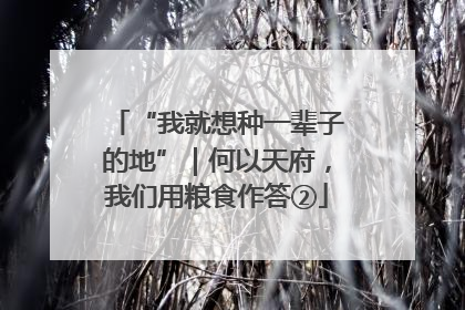 “我就想种一辈子的地”｜何以天府，我们用粮食作答②