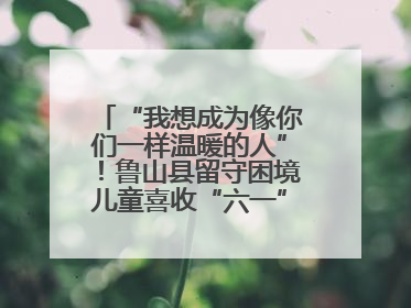 “我想成为像你们一样温暖的人”！鲁山县留守困境儿童喜收“六一”暖心礼