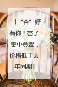 “杏”好有你！杏子集中登鹭，价格低于去年同期