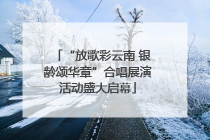 “放歌彩云南 银龄颂华章”合唱展演活动盛大启幕