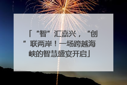 “智”汇嘉兴，“创”联两岸！一场跨越海峡的智慧盛宴开启