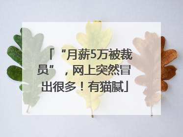 “月薪5万被裁员”，网上突然冒出很多！有猫腻