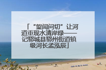 “望闻问切”让河道重现水清岸绿——记郓城县郓州街道镇级河长孟泓辰