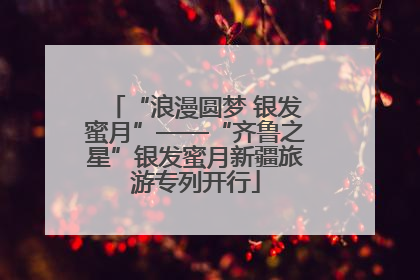 “浪漫圆梦 银发蜜月”——“齐鲁之星”银发蜜月新疆旅游专列开行