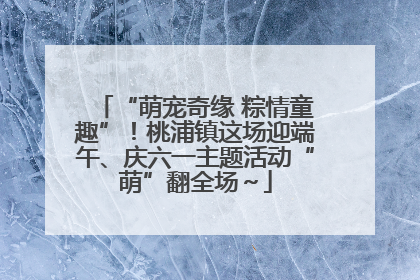 “萌宠奇缘 粽情童趣”！桃浦镇这场迎端午、庆六一主题活动“萌”翻全场～