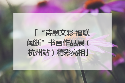 “诗墨文彩·福联闽浙”书画作品展（杭州站）精彩亮相