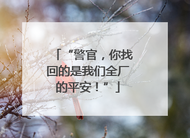 “警官，你找回的是我们全厂的平安！”