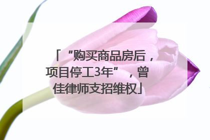 “购买商品房后，项目停工3年”，曾佳律师支招维权