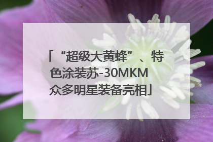 “超级大黄蜂”、特色涂装苏-30MKM 众多明星装备亮相