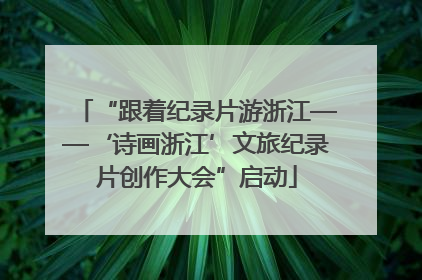 “跟着纪录片游浙江——‘诗画浙江’文旅纪录片创作大会”启动