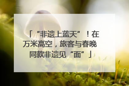 “非遗上蓝天”！在万米高空，旅客与春晚同款非遗见“面”